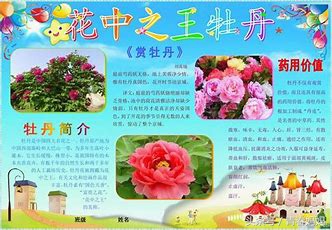 声母d和韵母o的拼读顺口溜,声母和韵母相拼顺口溜歌谣