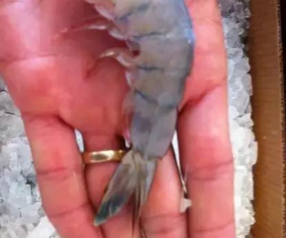 全身瘫软……鹤壁娃吞防撞角差点没命；农民工可网上免费读郑大本科