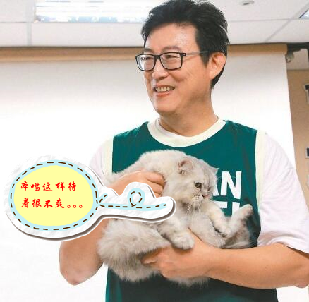 选情凉凉同僚不挺姚文智提喵上阵不料一个动作惹怒全台“猫奴”