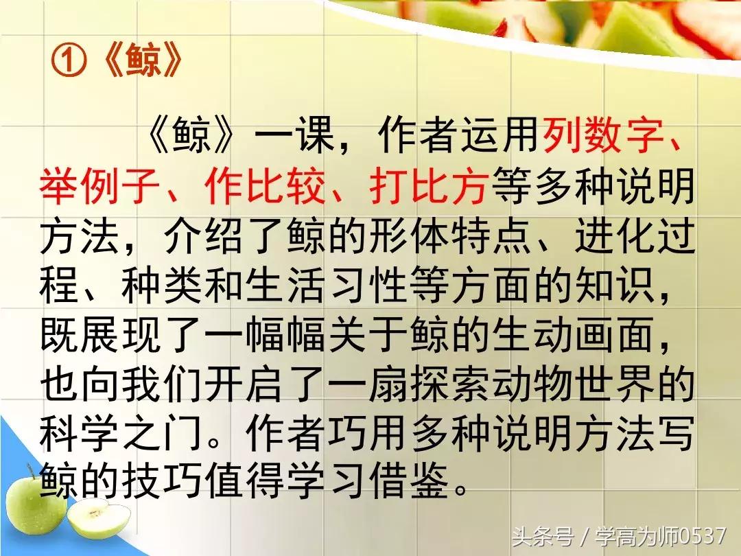 我最喜欢的一件物品五年级作文,五年级上册介绍一件物品作文