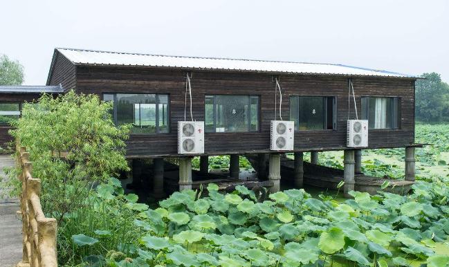 农村未来5大热门创业,五个新农村创业好项目