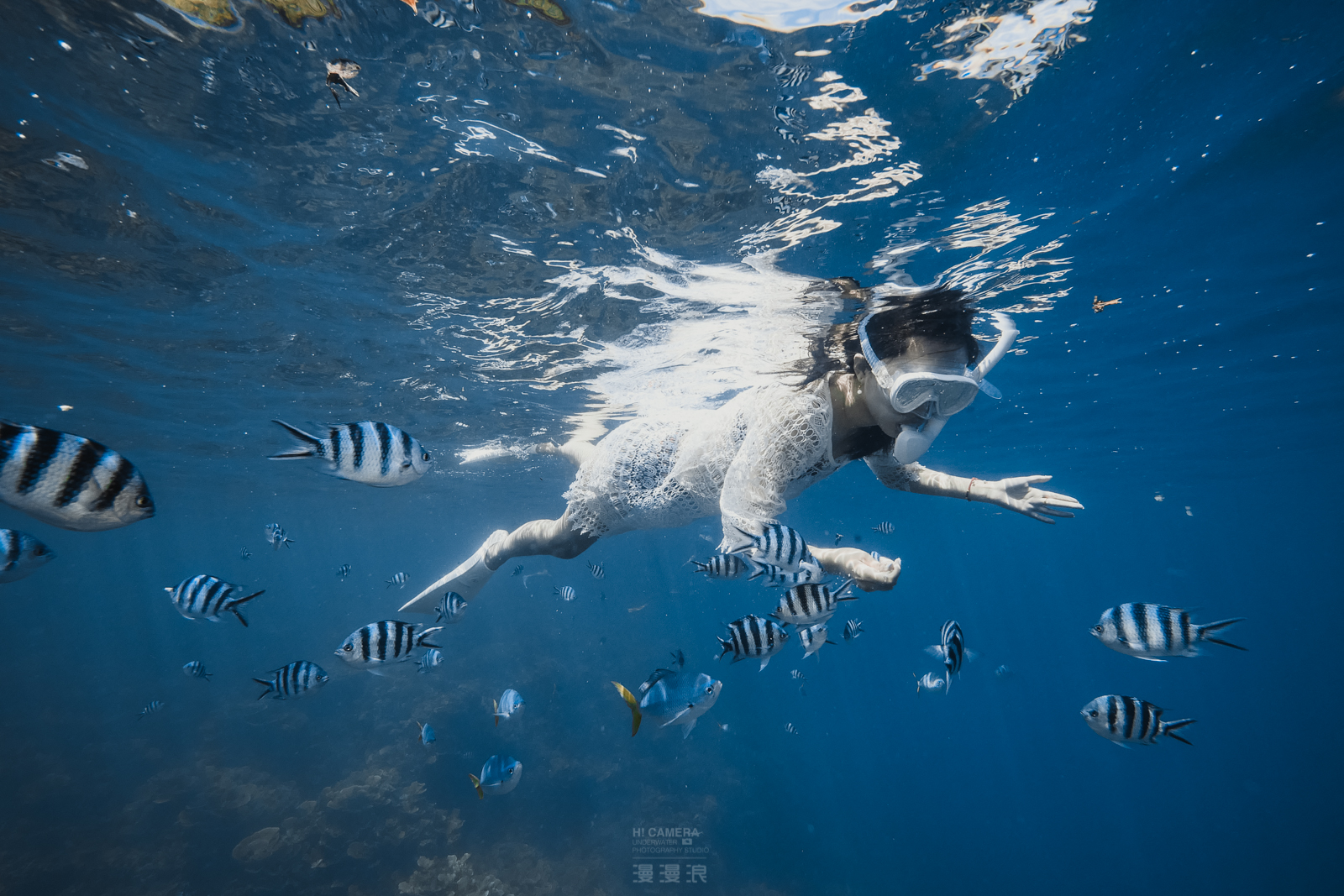 帕劳旅游攻略,帕劳自由行最佳路线