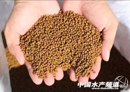 可以用于水产养殖的饲料,水产养殖功能性饲料