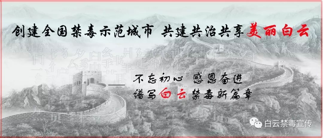 无毒青春健康生活活动效果,无毒青春禁毒护航