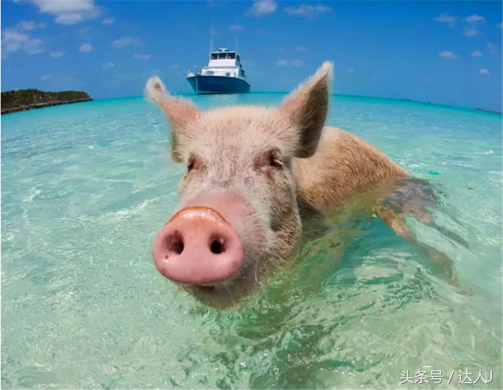 小天游中国的旅行,小天在太空旅行