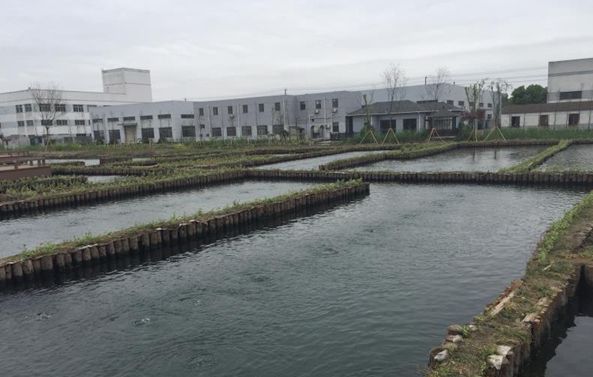 工业污水厂和生活污水厂哪个臭,污水厂很脏吗