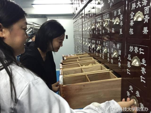 大四女生，从0创业，5个月实现月入4万，获永康书记点赞！