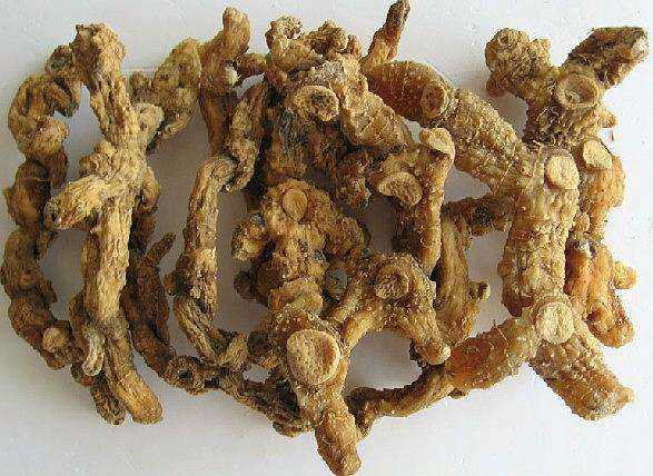 黄精的用量,黄精治失眠