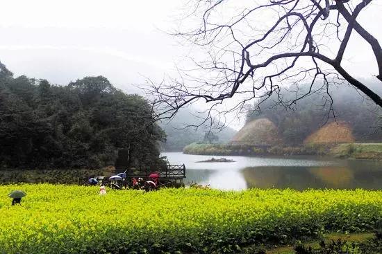 对不起，我劝你千万别去从化，不然会后悔……