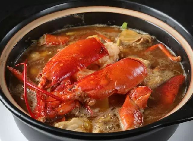 波龙搭配什么最好,波龙和什么混养