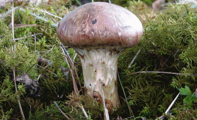 周公解梦：梦到这些场景，预示你将要过上富裕生活，令人羡慕！