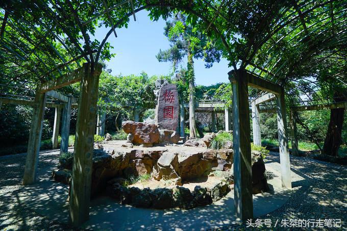 无锡禅意旅游攻略,必去禅意之旅