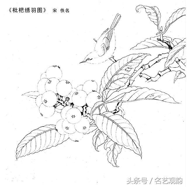 宋画工笔画底稿图文,宋画工笔白描最好的学习素材