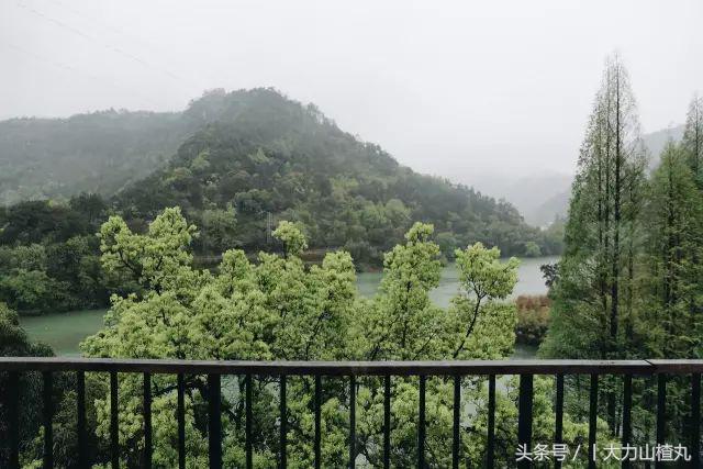 桐庐这些如诗画般高颜值精品民宿,桐庐有哪些隐藏的民宿