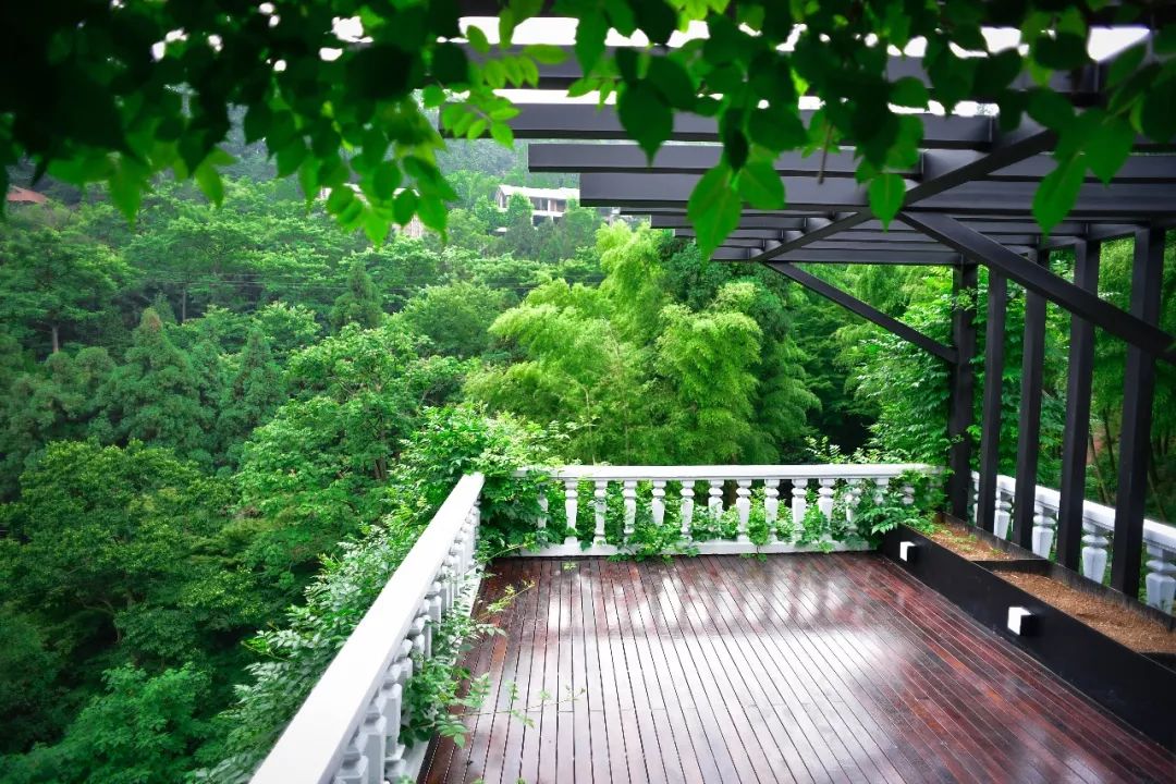 都知道莫干山民宿火，但你知道莫干山的第一家民宿是哪个吗？