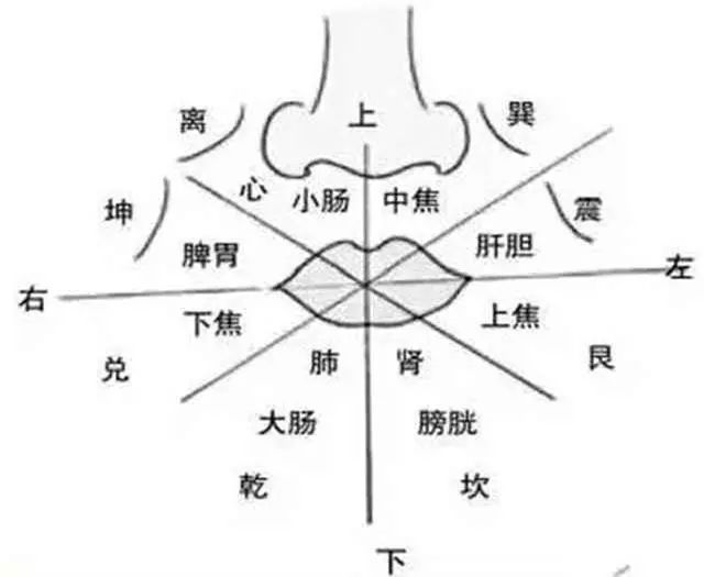 中医舌诊面诊耳诊的好处,零基础学面诊手诊舌诊