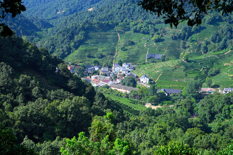 杭州西湖竹涧庭民宿踏春之旅,杭州民宿客栈里的美景攻略