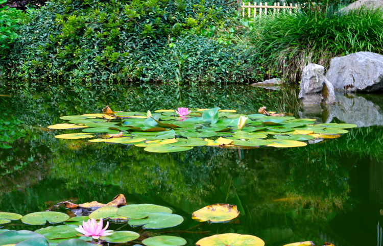 杭州西湖竹涧庭民宿踏春之旅,杭州民宿客栈里的美景攻略