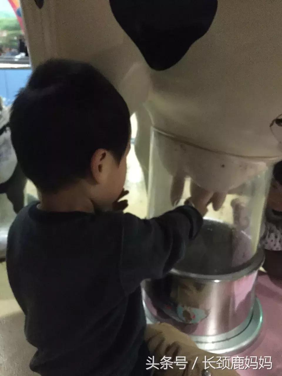 带孩子去北京不建议去哪,带孩子去北京没预约去哪玩