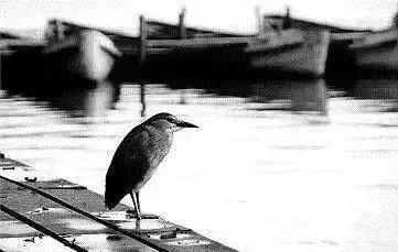 期货交易的秘密,期货交易的秘密免费阅读