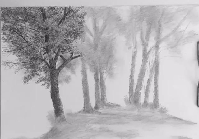 春天的美景素描,手把手教画风景