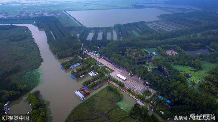 红荷湿地微山湖八月份还有荷花吗,山东微山湖红荷湿地公园荷花