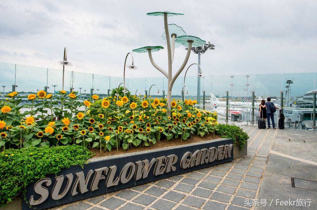 最新海岛打卡之旅,自由行可去的小众海岛