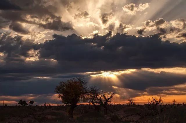有一种追寻,叫敦煌山庄,畅想古今,韵味浓稠!