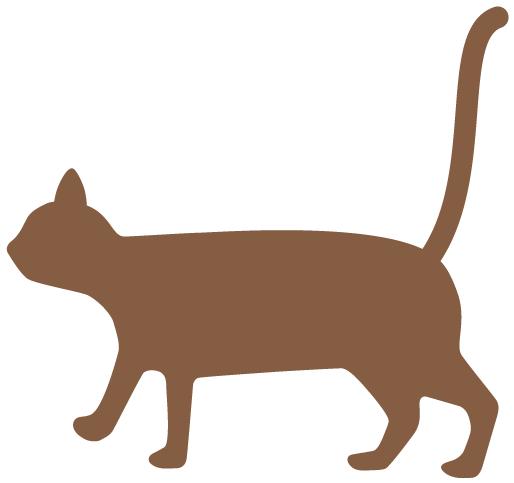 小候鸟暑假,小候鸟活动