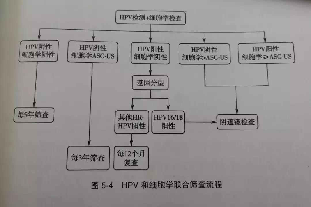 宫颈癌10大高危人群是哪些？带你了解宫颈癌筛查的方方面面！