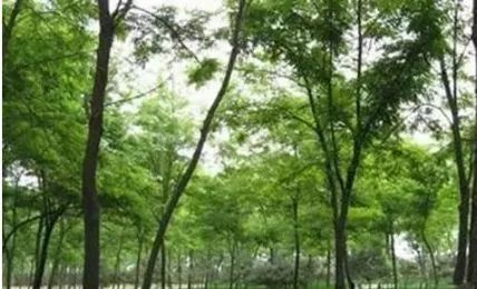 北京哪些公园对18岁以下免费,北京值得去的免费公园排名