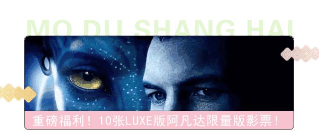 从上海坐高铁到香港需要什么条件,上海可以坐高铁去香港吗