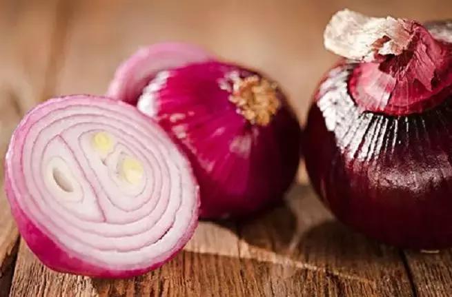 珍珠知识新手入门教学,小火说免费阅读