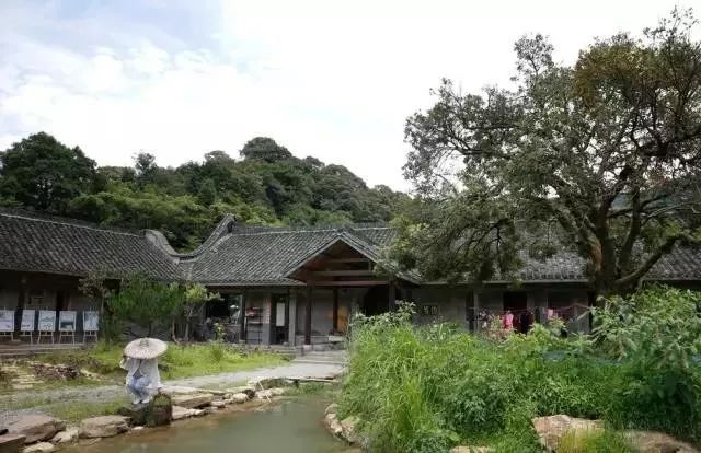 上虞幽兰轩城市民宿,上虞岭南民宿推荐