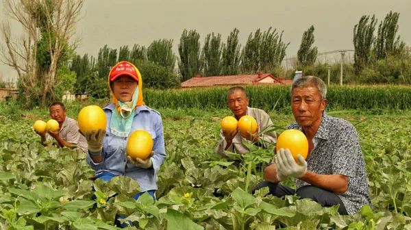 走遍天涯海角忘不了歌名叫什么,走遍天涯海角忘不了原唱