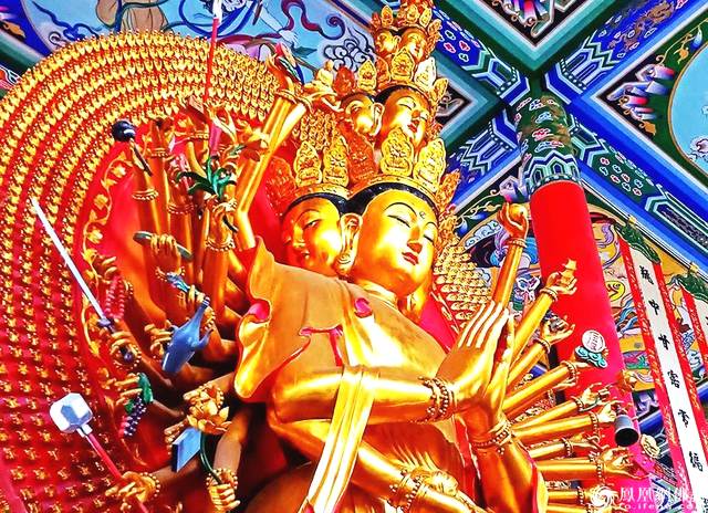 恭迎观世音菩萨诞辰视频,恭迎观音菩萨出家殊胜日