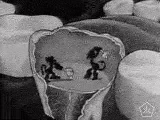 蛀牙是虫蛀的吗动画,蛀牙真的是虫蛀的嘛