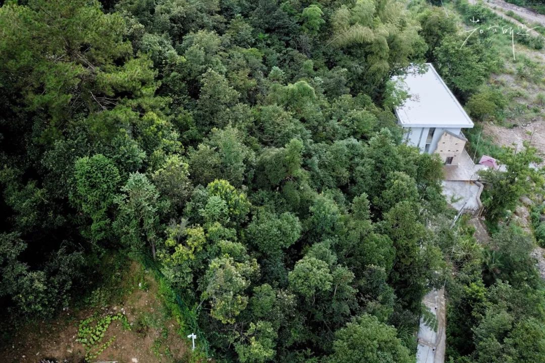 杭州城外一小时,觅一处隐于山中的静谧之地,带上TA发呆去!