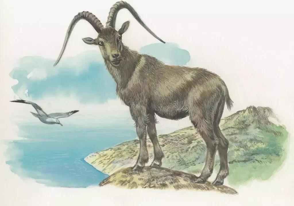 威海羊亭具体位置,威海羊亭有个湖吗