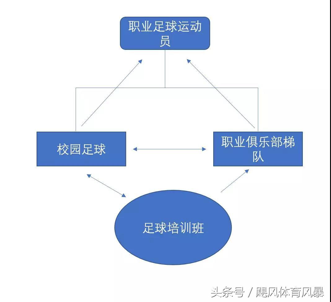 深度解析足球,深度谈中国足球青训