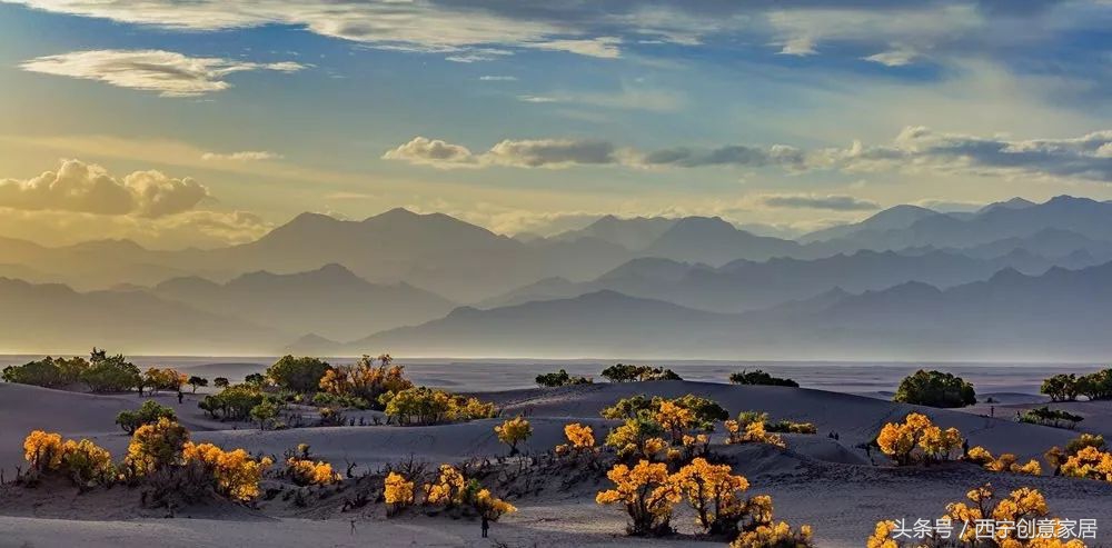 青海为什么频繁发生地震,青海人为什么长得好看
