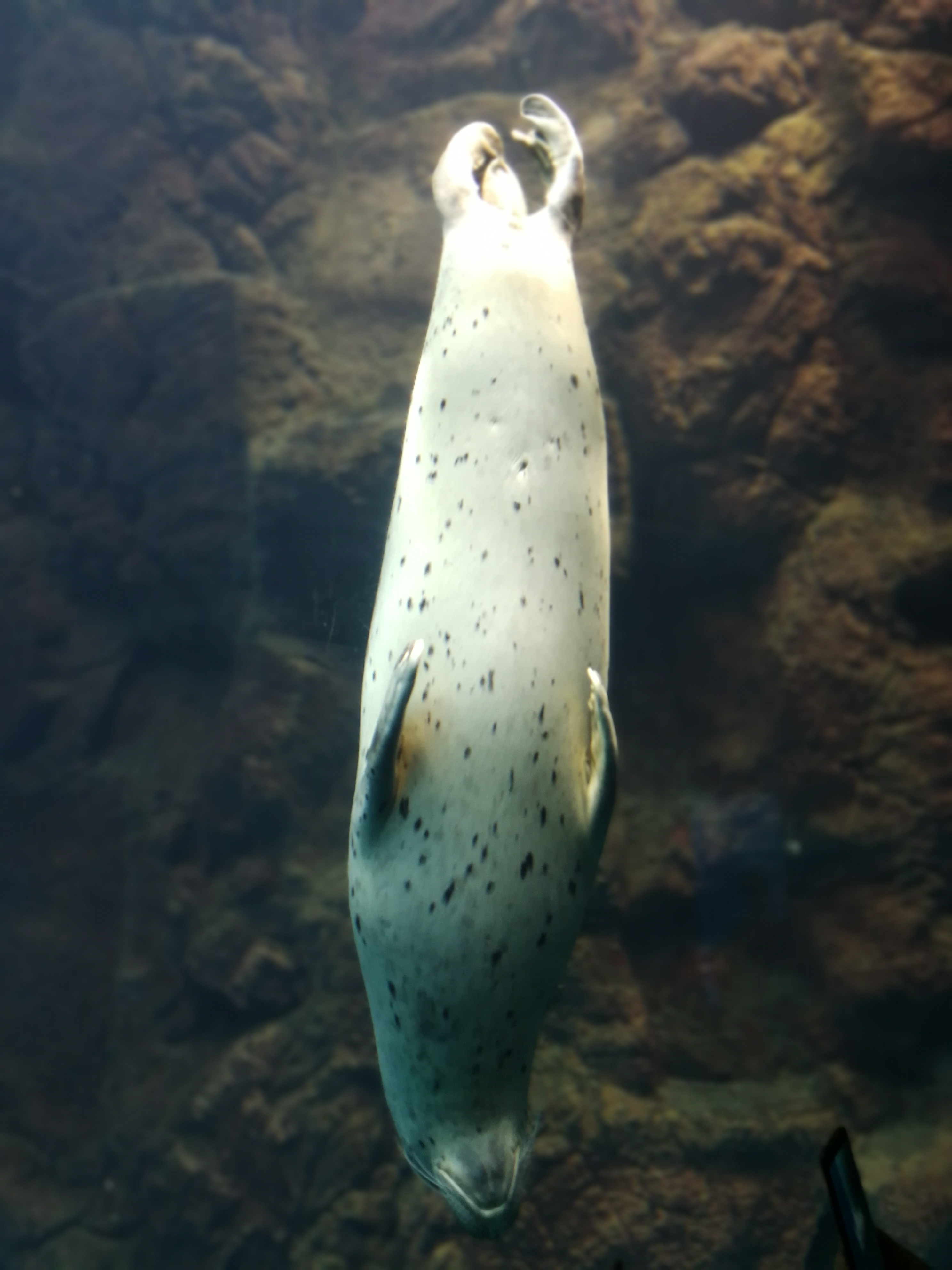 日本乐高亲子游,日本乐高亲子游玩中心在哪