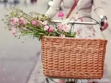 什么是情人什么是知己什么是妻子,什么叫做是妻子又是红颜知己