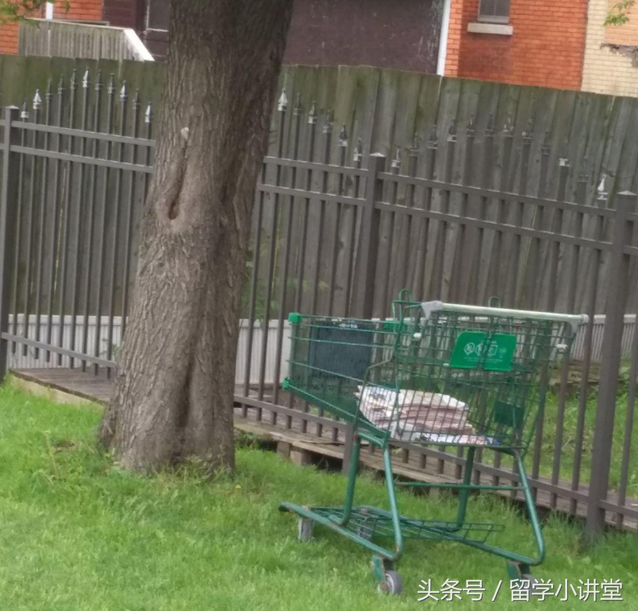 在加拿大生活真的非常舒服,加拿大纳奈莫生活体验