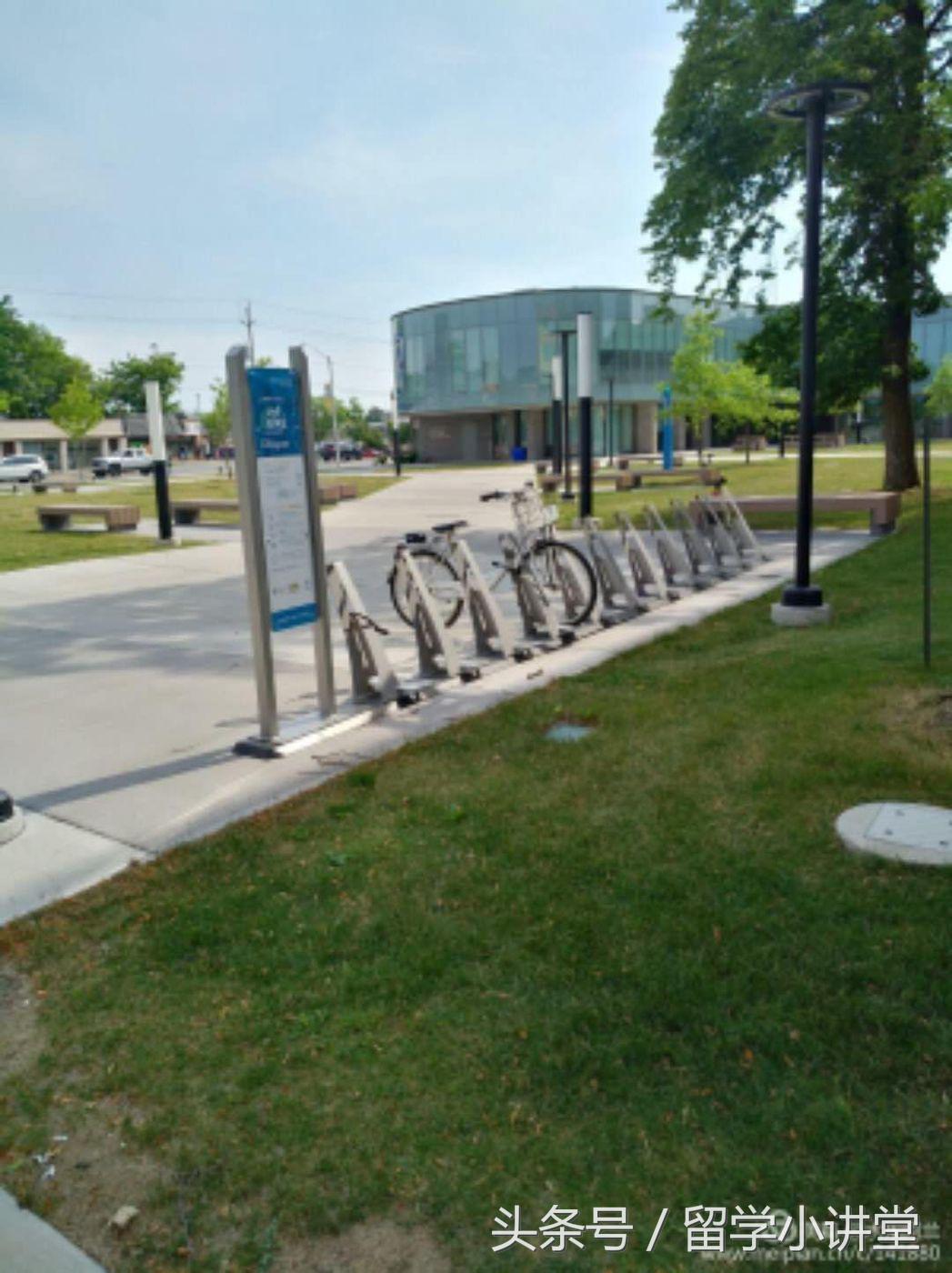 在加拿大生活真的非常舒服,加拿大纳奈莫生活体验