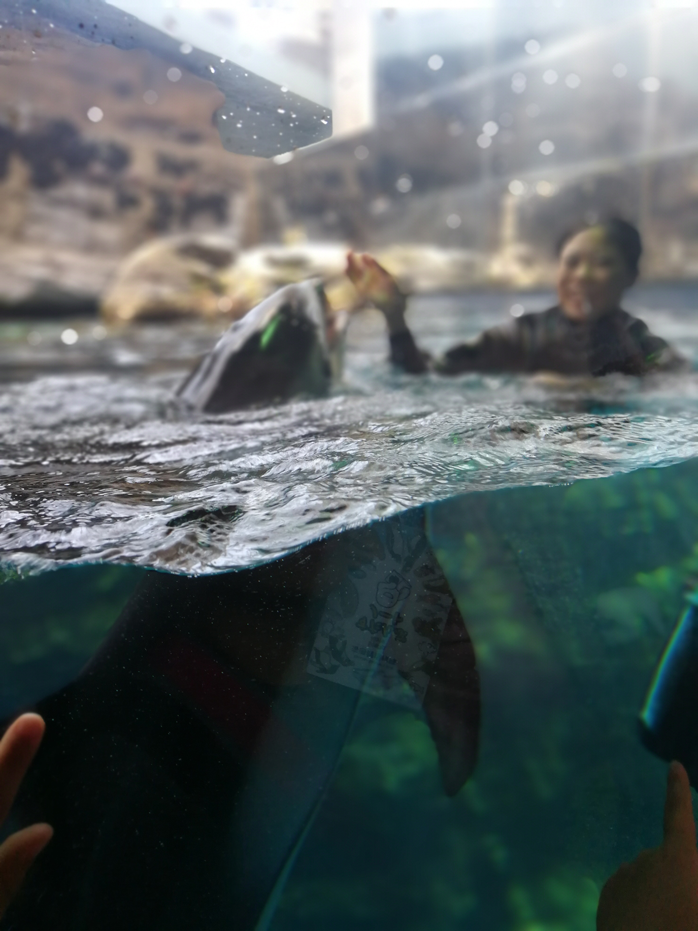 日本乐高亲子游,日本乐高亲子游玩中心在哪