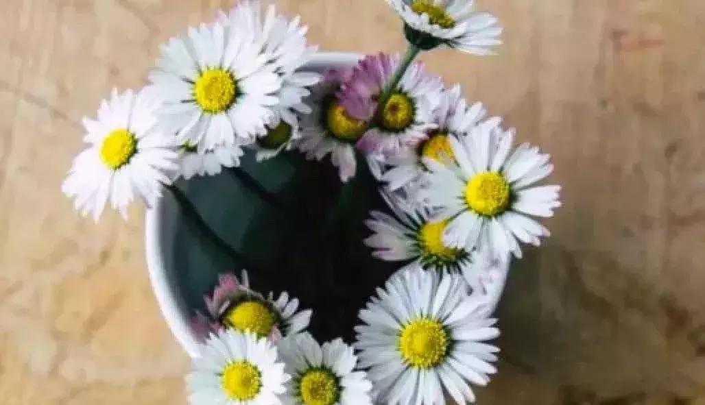 小孩需要办签证吗,出国护照签证办理流程最新