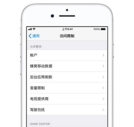 iphone的访问设置在哪里,iphone的访问限制怎么隐藏app