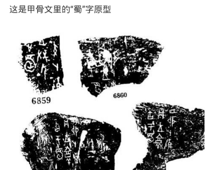 夏字从古至今演变,夏字的演变过程及来历