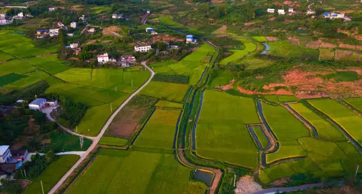 青白江城市发展方向,青白江未来5年发展